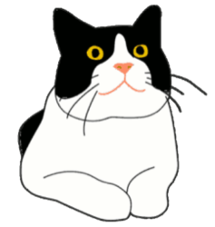 Buddies Place Cat Rescue